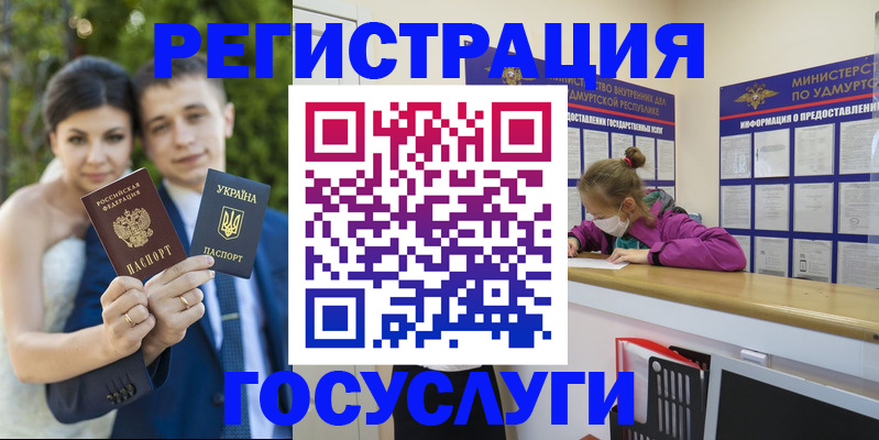 прописка поиск в Владимирской области
